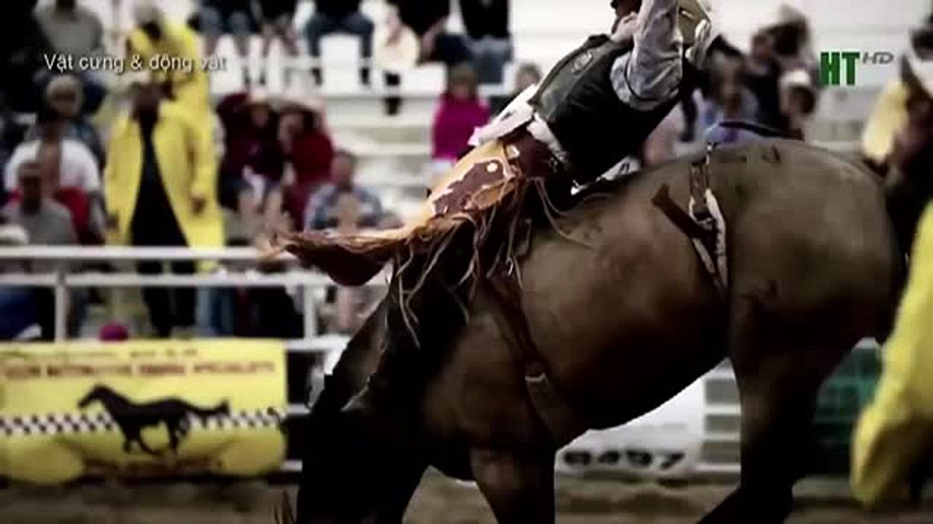 cartoon movies disney (2)