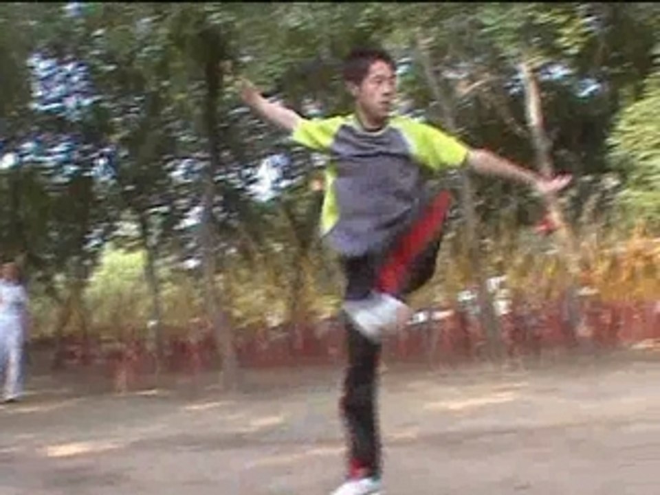 kung fu shaolin