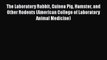 Read The Laboratory Rabbit Guinea Pig Hamster and Other Rodents (American College of Laboratory