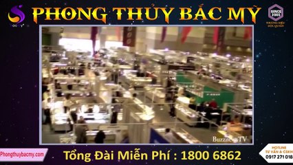 Phong thủy Bắc Mỹ tự hào là nhà nhập khẩu và phân phối số 1 tại Việt Nam