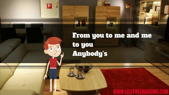 Lice Free Noggins NYC - Lice Removal - 347-460-1669