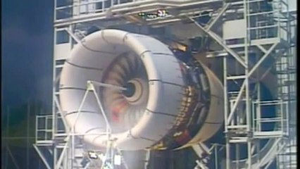 What happens when a bird hits a jet engine