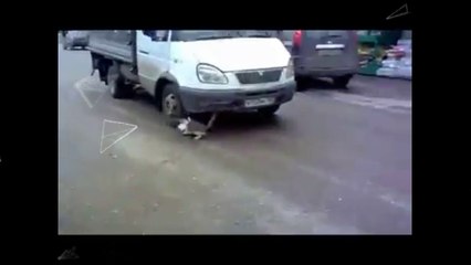 cat fail 2016- bus accident cctv-kissing prank fail 2016 fail