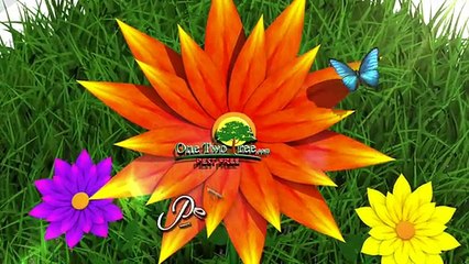 Pest Control in Miami-Perimeter Treatments