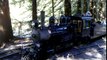 Tilden Park Berkeley Steam Ride video-2010-05-29