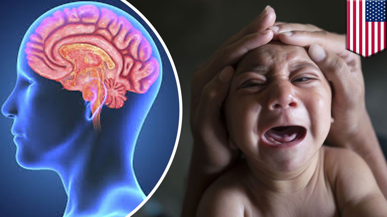 How the Zika virus damages the brain