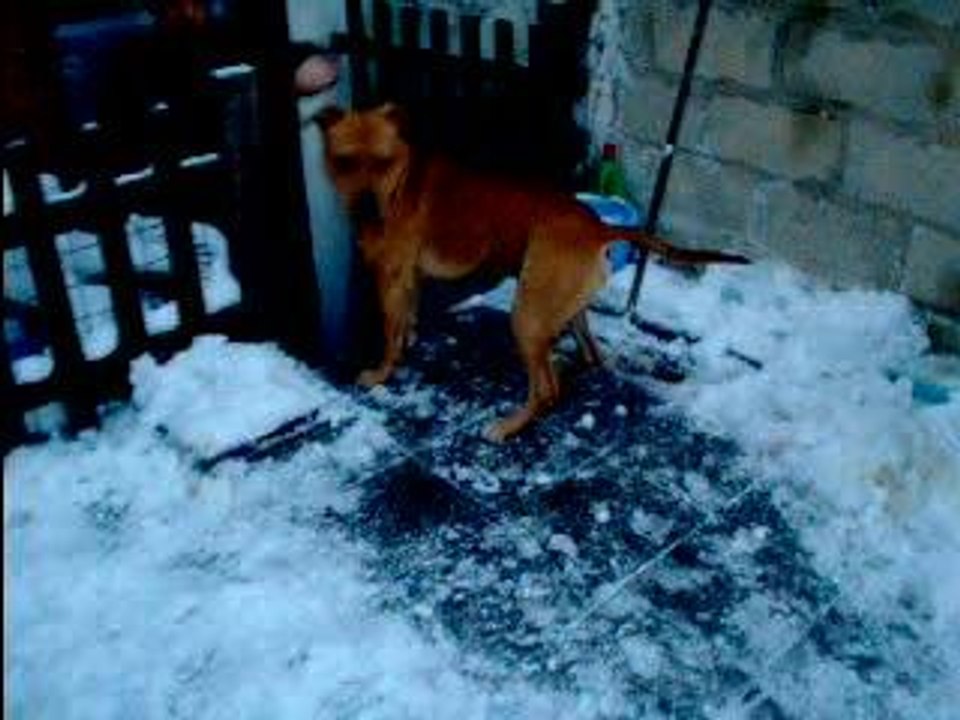 jack ds la neige
