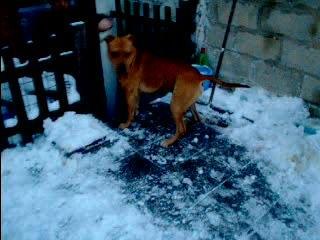 jack ds la neige