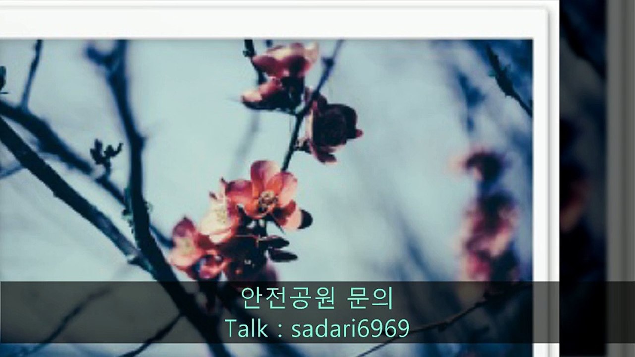 #안전놀이터 #안전놀이터추천 #메이저놀이터 #메이저놀이터추천 #안전공원 #안전공원추천 #토토사이트 #토토사이트추천 #사설사이트 #놀이터추천