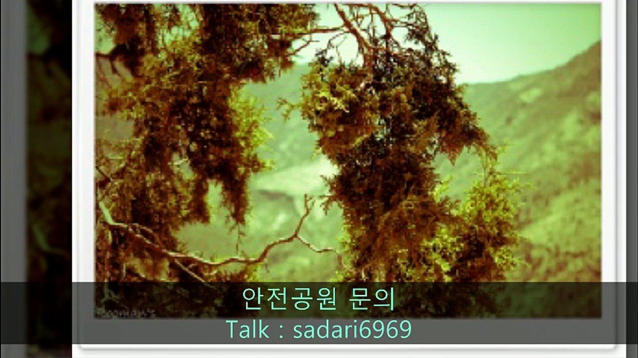 #안전놀이터 #안전놀이터추천 #메이저놀이터 #메이저놀이터추천 #안전공원 #안전공원추천 #토토사이트 #토토사이트추천 #사설사이트 #놀이터추천