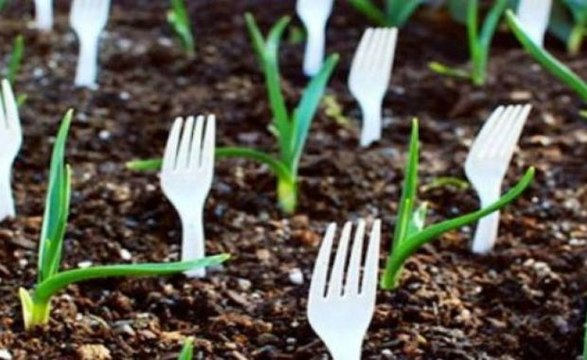 Zabio je viljuske u zemlju u svojoj basti. Kada vidite razlog, uradicete isto