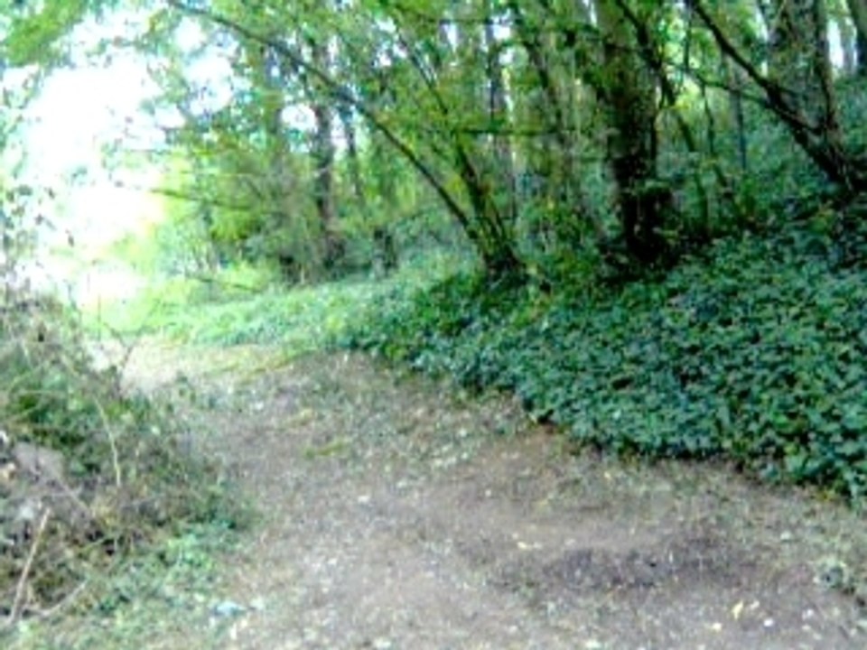 Circuit VTT 022