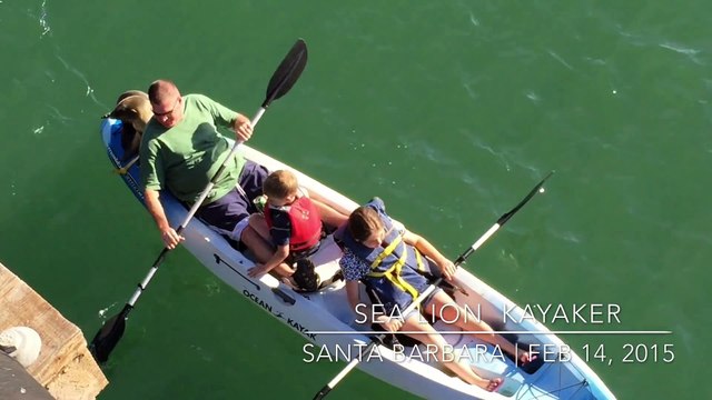 Observez cette rencontre fortuite au plein milieu de l'eau
