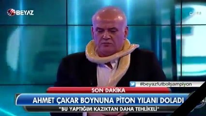 Ahmet Çakar'dan kazık ve yılanlı şov