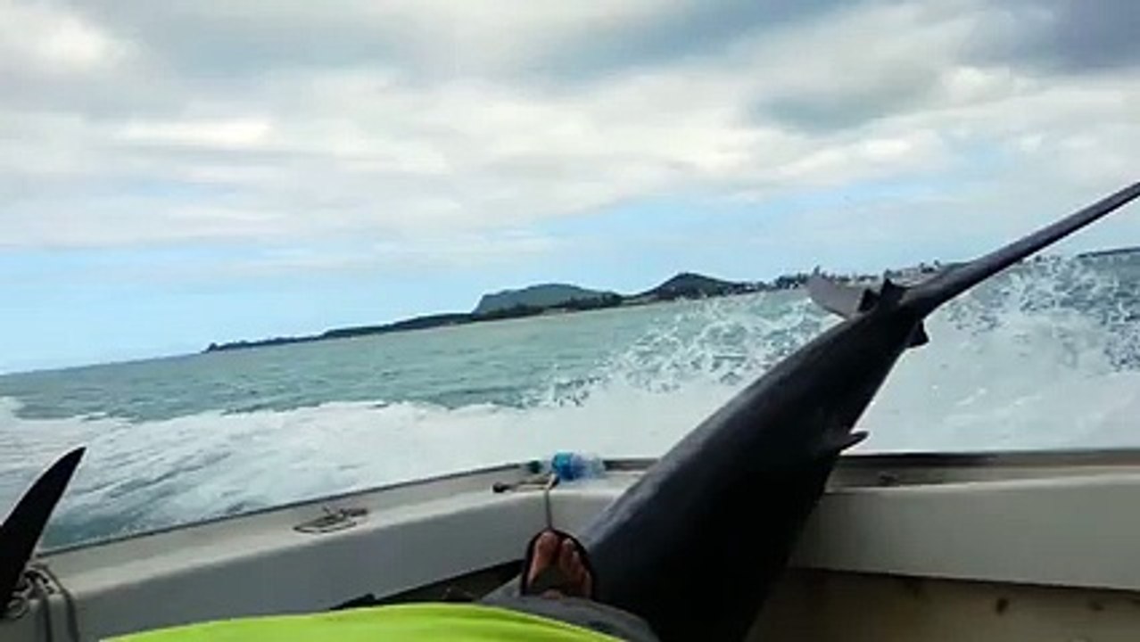 Un pêcheur se fait embrocher la jambe par un merlin.