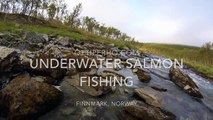 Underwater salmon fishing in Finnmark   ottiperho.com