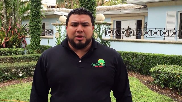 Pest Control in Coral Gables Florida 33146(1037 alfonso lane)