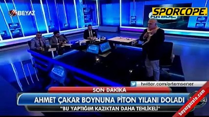 Çakar, pitonu boynuna doladı!
