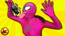 Pink Spidergirl & Spiderbaby vs BIG SPIDER Funny Superheroes - Spiderman Superhero Fun IRL - SHMIRL (1080p)