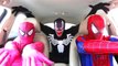 Pink Spidergirl & Spiderman & Venom Dancing in the Car! Superheroes Funny Movie in Real Life! (1080p)