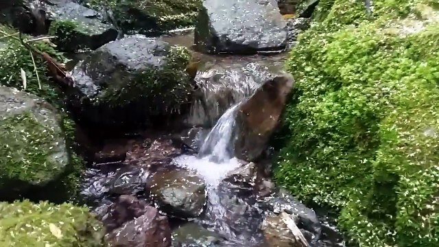 #청주출장마사지,(010-2910-6110),#청주출장안마,