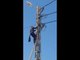 Cat Stuck on Lamp Post Uses Power Line as Tightrope to Evade Rescuer