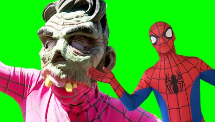 Pink Spidergirl vs Spiderman vs T-Rex vs Zombie -In Real Life superhero Movie (1080p 60fps)