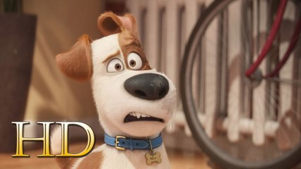 Watch The Secret Life of Pets Online Free Streaming (2016)