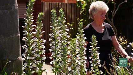 "Je vais à la gym trois fois par semaine" : Vieillir en Australie