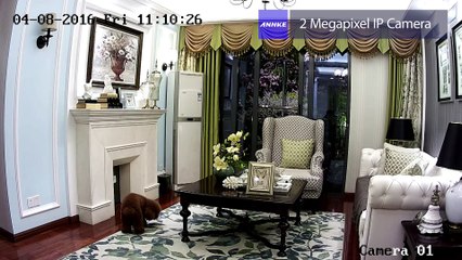 I61FB/I61FC-Annke 2MP Camera PoE NVR Security System  (2)