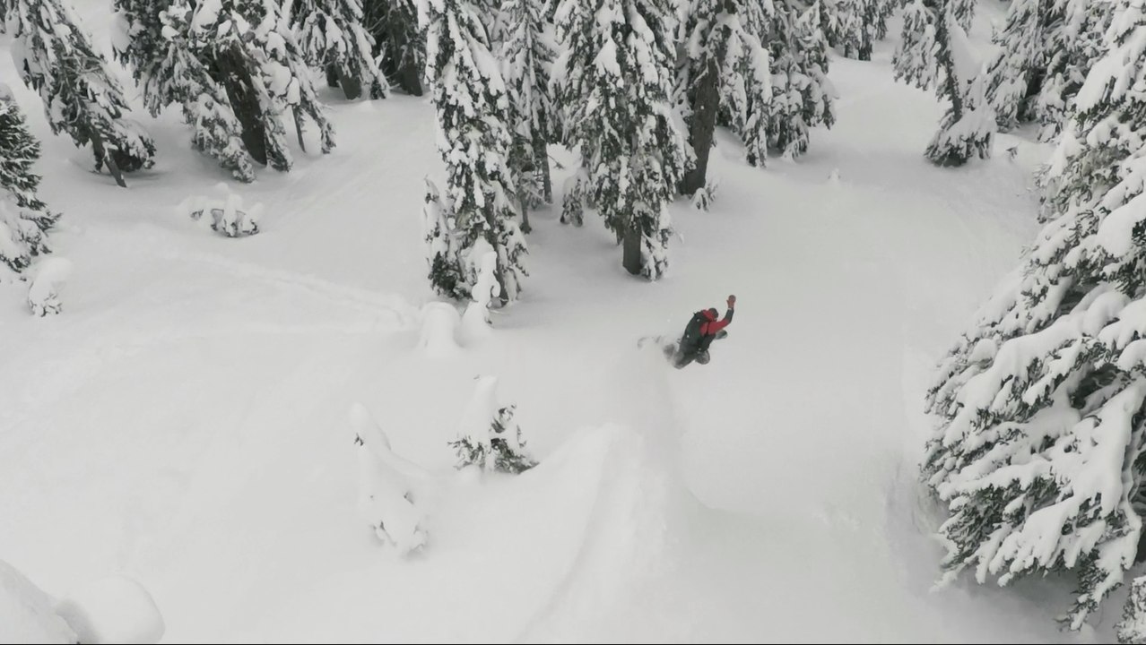 Gone Tomorrow | 04 | Vancouver Island