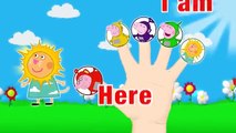 Peppa Pig Teletubbies Finger Family   Nursery Rhymes and More Lyrics ToyKids  peppapig