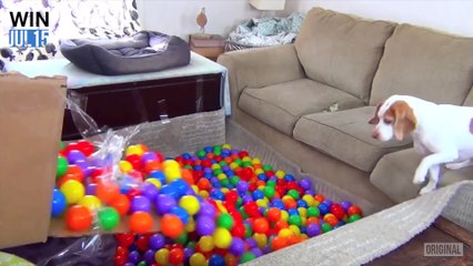 WIN Compilation July 2015 (2015 07)   LwDn x WIHEL