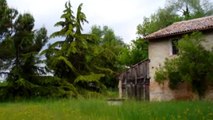 Rustico - Casale in Vendita, via Budria - Ravenna
