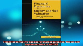 READ book  Financial Derivative and Energy Market Valuation Theory and Implementation in MATLAB Full Free