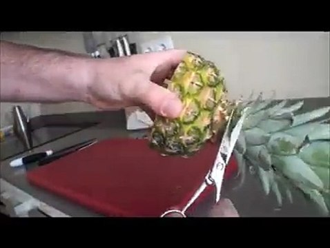 Comment faire un perroquet avec un ananas