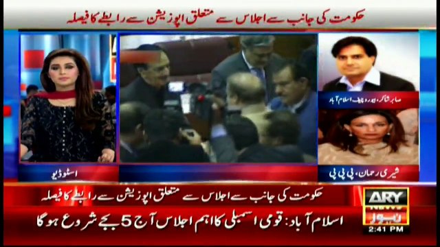 Panama leaks issues won't be resolved without proper answers: Sherry Rehman