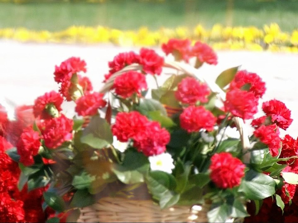 Сотрудники «Союз Маринс Групп» приняли участие в памятных мероприятиях ко Дню Победы - 9 мая