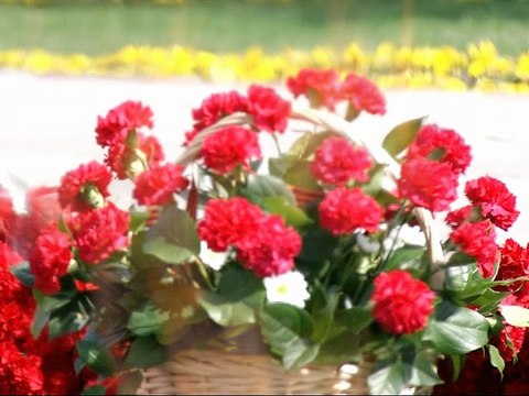 Сотрудники «Союз Маринс Групп» приняли участие в памятных мероприятиях ко Дню Победы - 9 мая