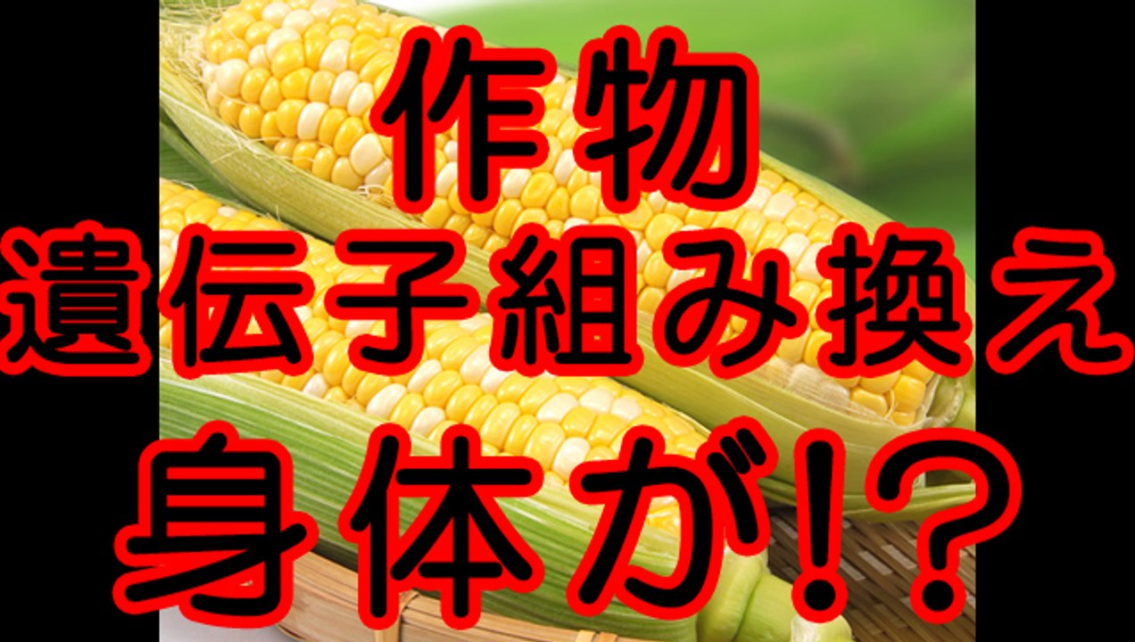 遺伝子組み換え作物で身体が！？