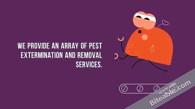 Pest Control Services in Kitchener, Waterloo, Guelph, Cambridge, Brantford