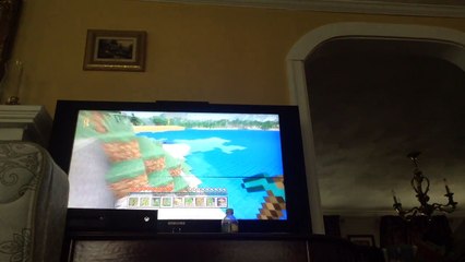 How to build stampys house