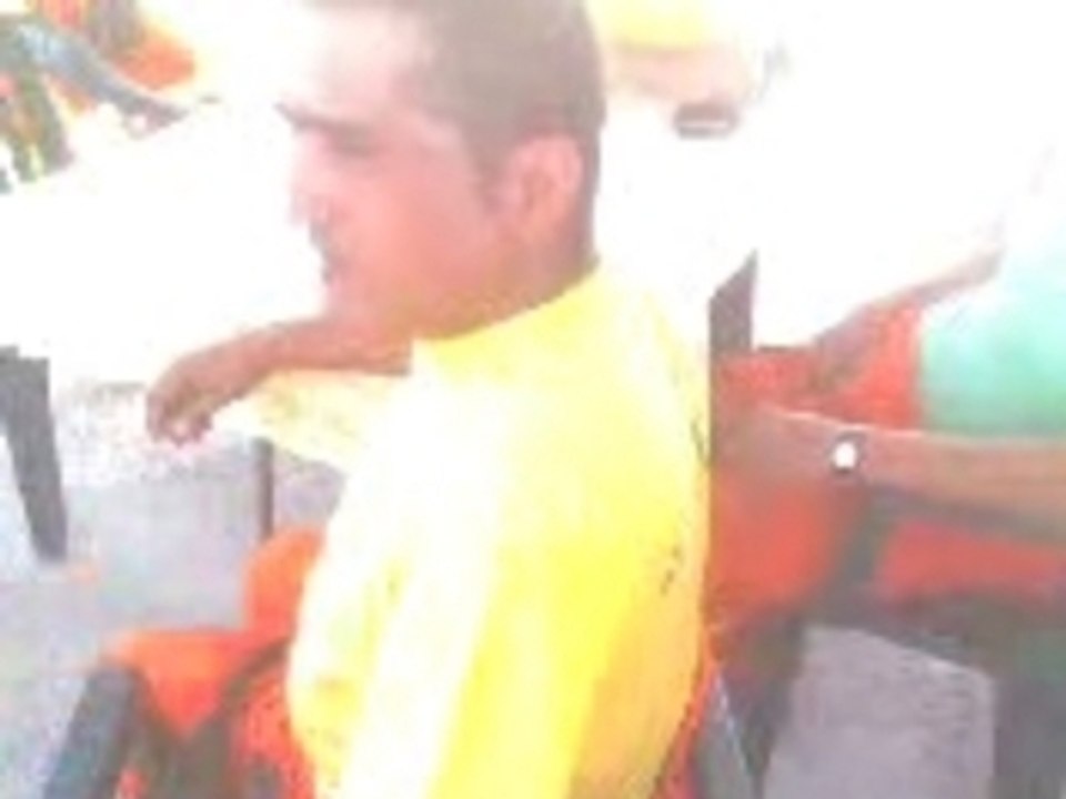 Ramarro niscemi