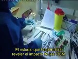 Monsanto, experimentos increibles   expériences incroyables