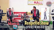 Acapetla Show 'Cuentame Tus Penas & Vestida De Color De Rosa' Elgin, IL. 4-19-2015.