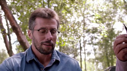 Teotihuacán: Les Trésors De La Citée Des Dieux