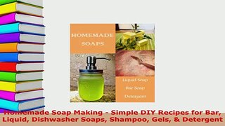 Download  Homemade Soap Making  Simple DIY Recipes for Bar Liquid Dishwasher Soaps Shampoo Gels  Free Books