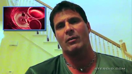 Canseco on Steroids : An Introduction