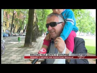 Rreziku nga qentë e shtëpisë - News, Lajme - Vizion Plus