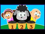 Baa Baa Black Sheep - Nursery Rhyme - Popular Nursery Rhymes for Babies by KidsHome
